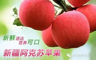 微送水果工廠店12家門(mén)店同慶盛典 每日供應(yīng)依舊秒光，水果為何至此搶購(gòu)大戰(zhàn)？